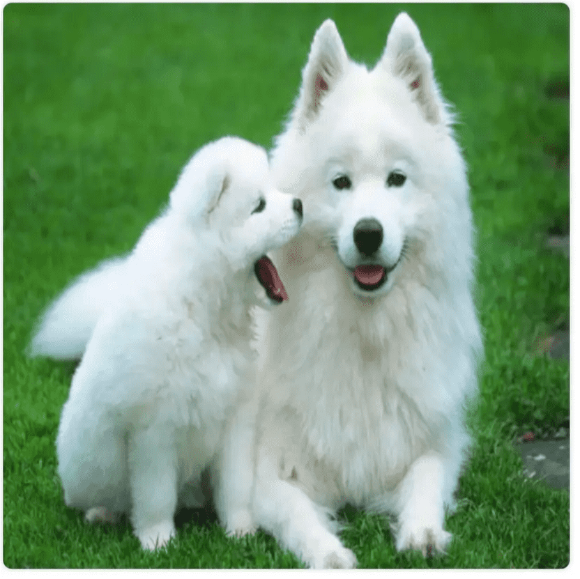 image-20240119162416014